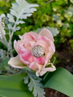 Bague Boule Pavée De Diamants