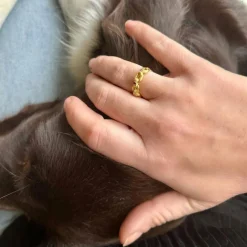 Bague chaine en or jaune et rubis