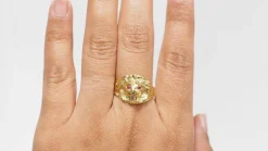 Bague chevalière Lion rubis et diamant