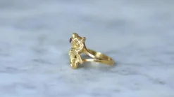 Bague Chimère Or Jaune et Rubis