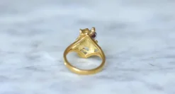 Bague Chimère Or Jaune et Rubis
