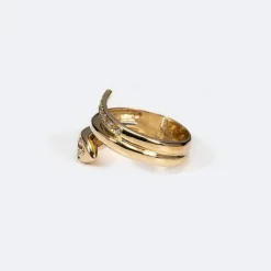Bague contrarié avec serpent