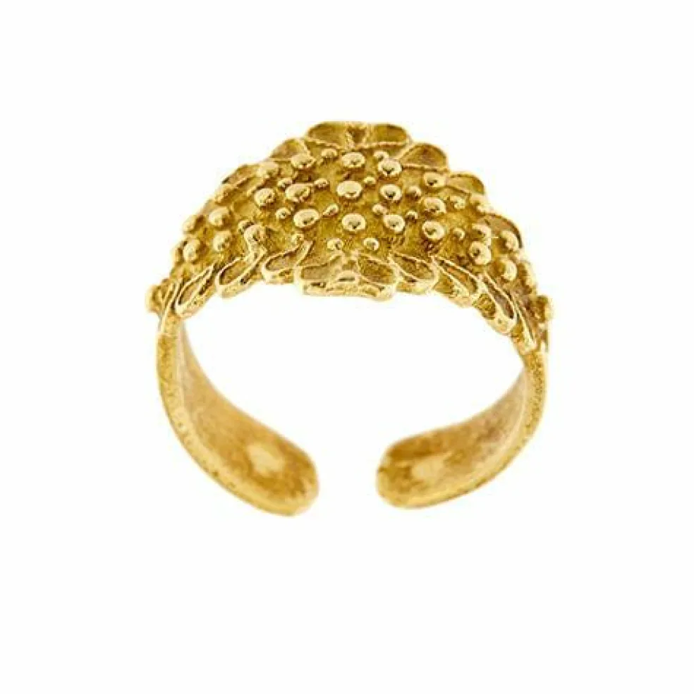 Bague de foi sarde