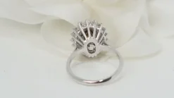 Bague double entourage Rubis Diamants