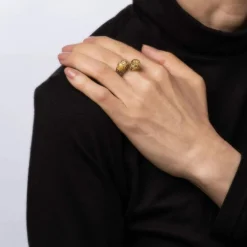 Bague Double Lion en Or Jaune, Bande de Contournement des Yeux en Émail