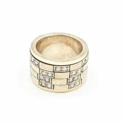 Bague en Or et Argent avec Chrysobryles