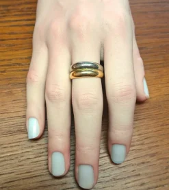 Bague en or jaune et gris
