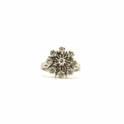 Bague Entourage Or Blanc