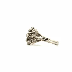 Bague Entourage Or Blanc