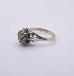 Bague Entourage Or Blanc 18k & Diamants