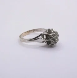 Bague Entourage Or Blanc 18k & Diamants