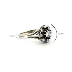 Bague Entourage Or blanc 18k & Diamants