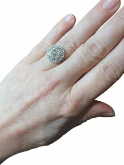 Bague sertie de diamants fleur or blanc