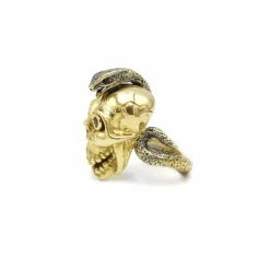 Bague Vanité rubis
