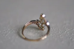 Belle Époque 2 tone gold diamond ring