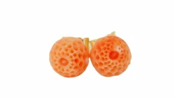 Boucles d'oreilles corail sculpté