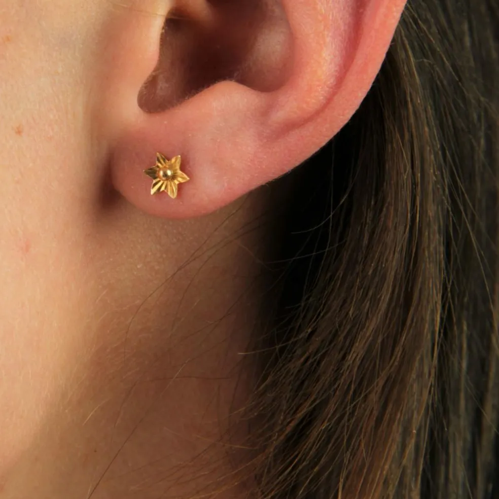 Boucles d'oreilles corail et or