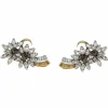 Boucles d'oreilles, "Edelweiss", en or jaune, platine et diamants.