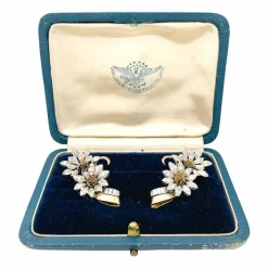 Boucles d'oreilles,