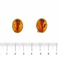 Boucles d'oreilles en ambre