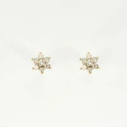 Boucles d'oreilles Fleurs