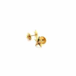 Boucles d'oreilles forme étoile