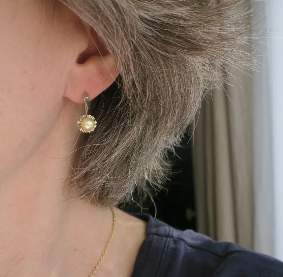 Boucles d’oreilles or blanc perles de culture Akoya dorées