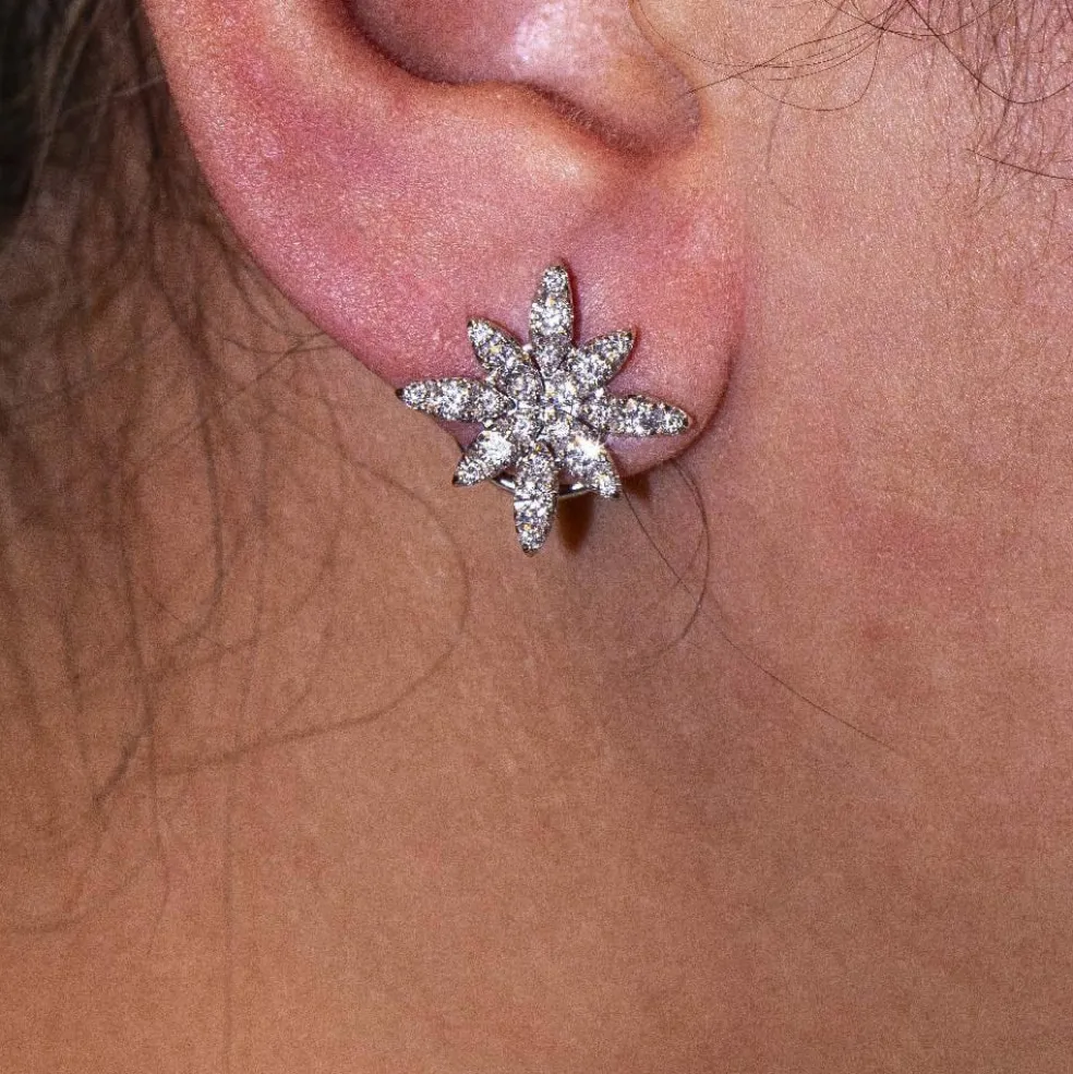 Boucles d'oreilles PASQUALE BRUNI Or blanc Diamants