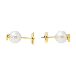 Boucles d'oreilles Puces Or jaune Perle