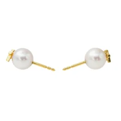 Boucles d'oreilles Puces Or jaune Perle