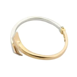 Bracelet Jonc 2 Ors