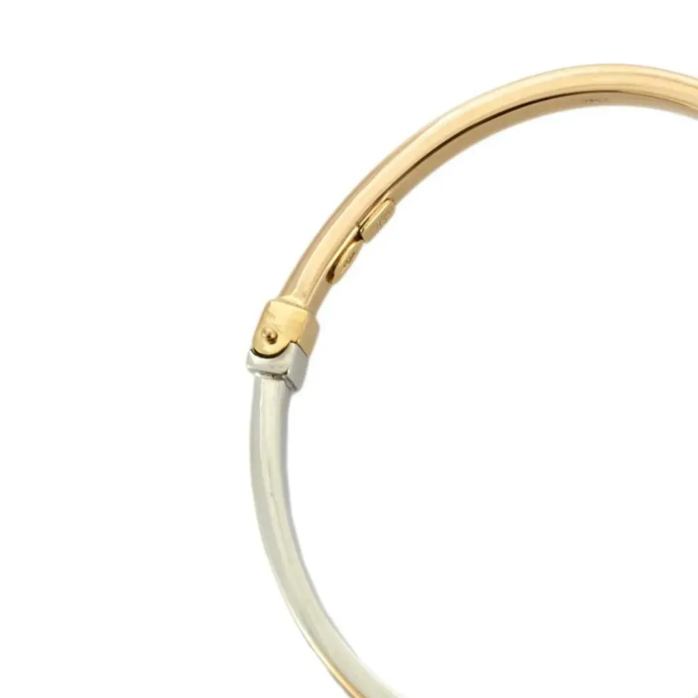 Bracelet Jonc 2 Ors