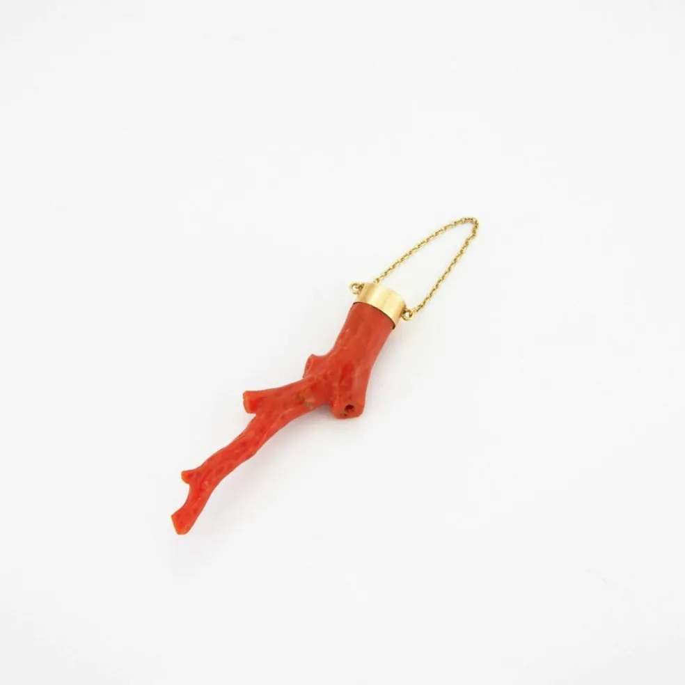 Branche/pendentif de corail