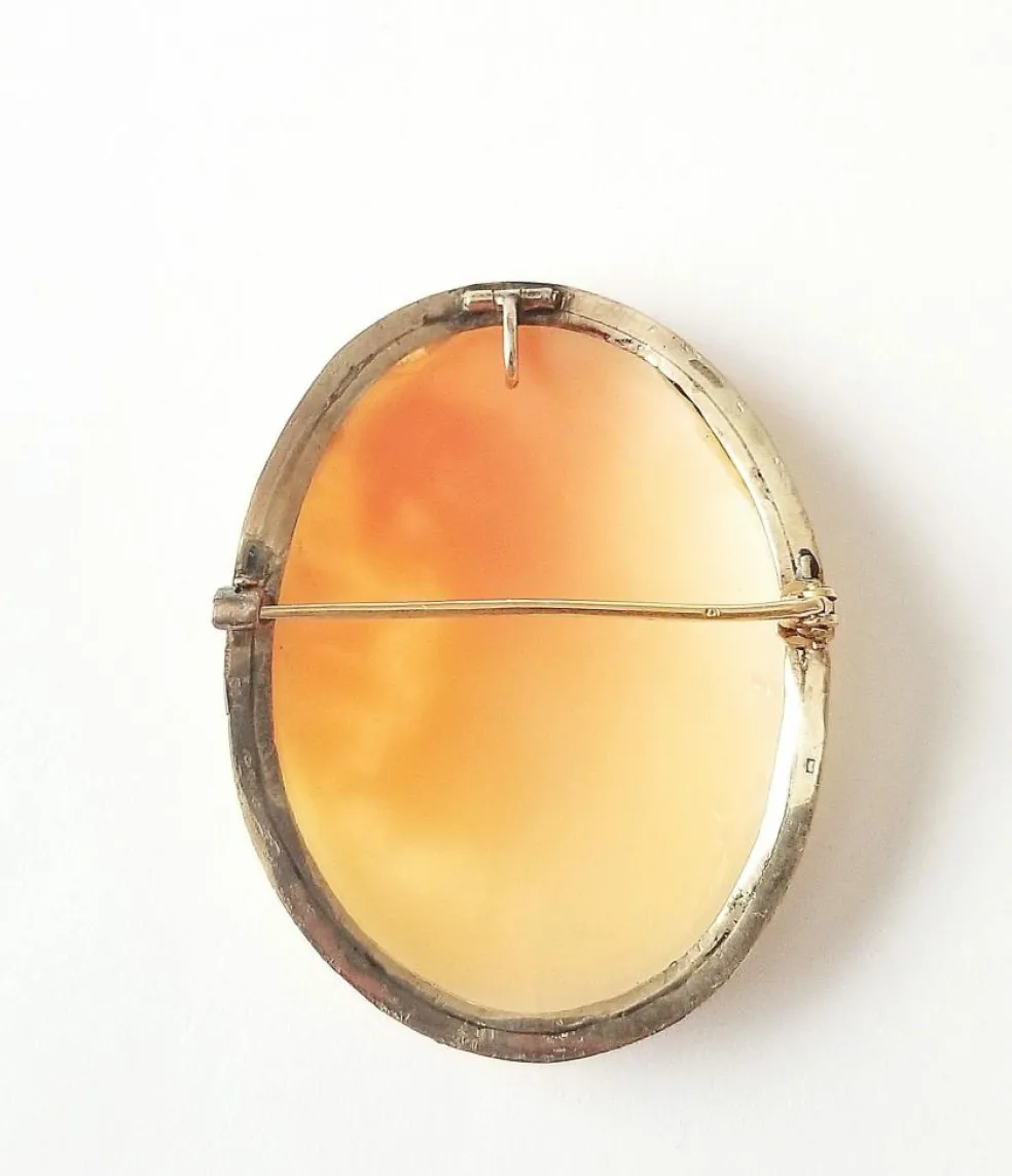 Broche / pendentif ancienne camée or jaune et blanc