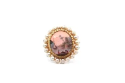 Broche ancienne peinture sur nacre