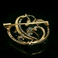 Broche Art nouveau en or jaune et argent avec diamants