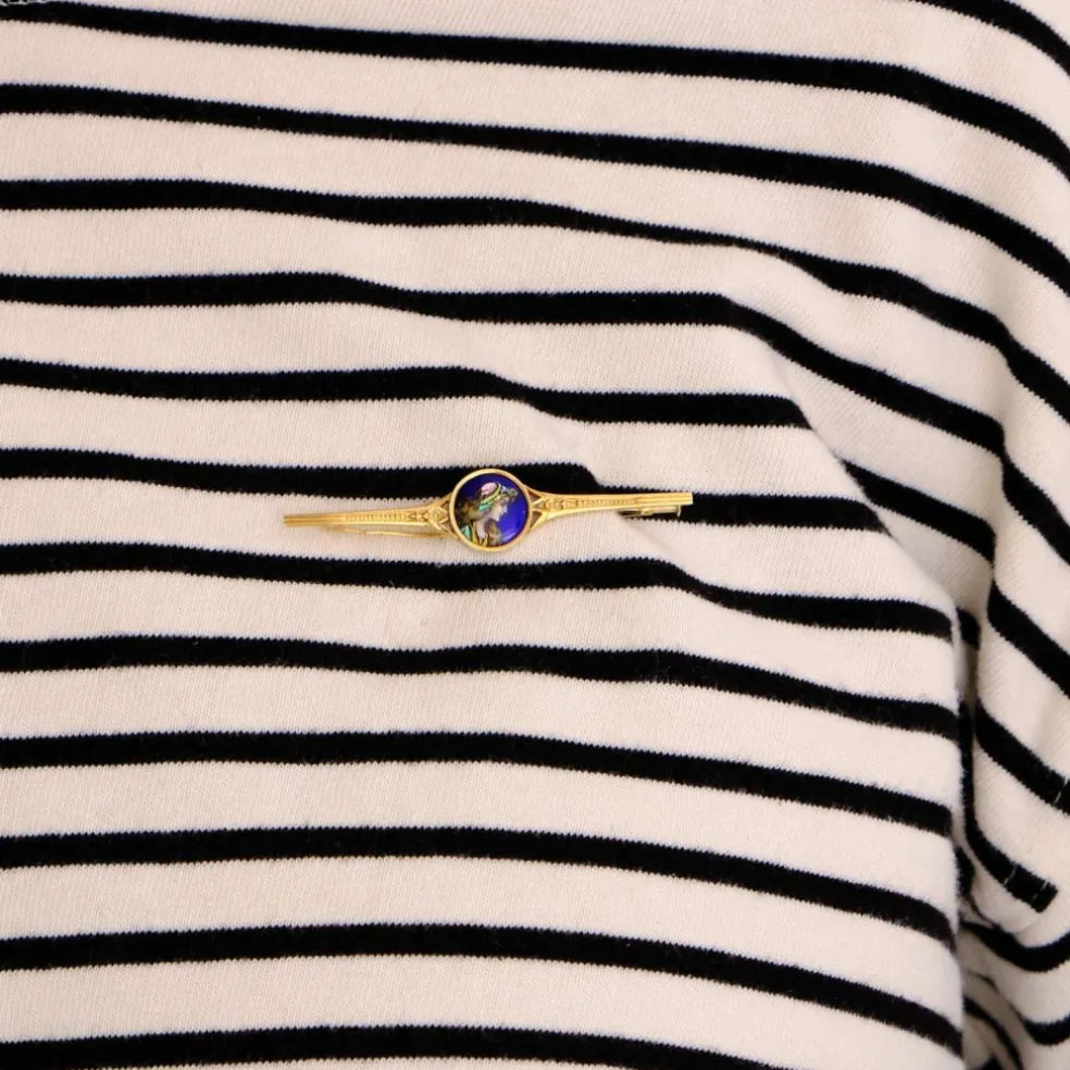 Broche Barrette or et émail