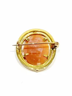 Broche camée coquillage