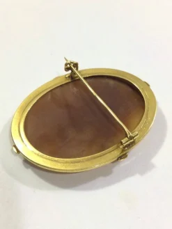 Broche Camée Coquillage Et Perles
