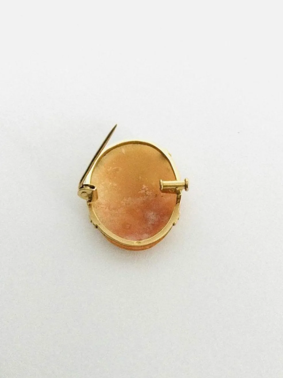Broche Camée Coquillage Or
