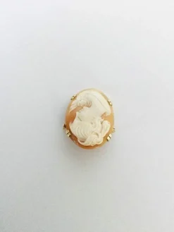 Broche Camée Coquillage Or