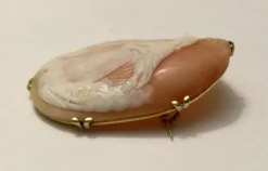 Broche camée en Or jaune