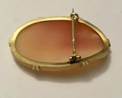 Broche camée en Or jaune