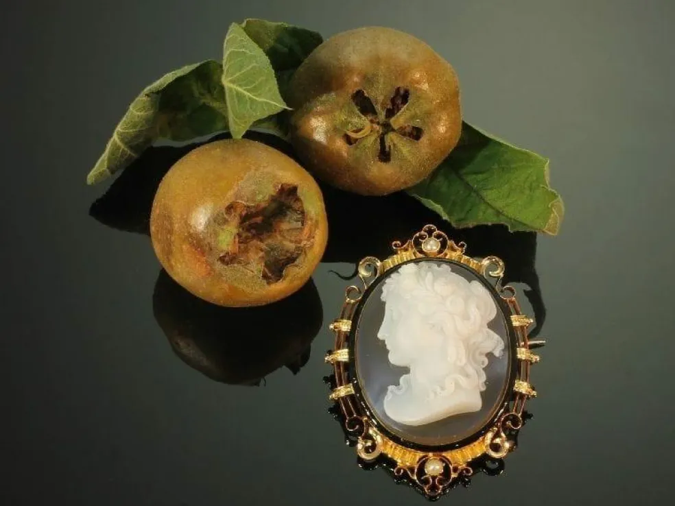 Broche camée, monture émaillée