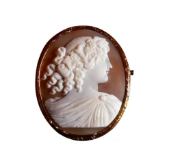 Broche Camée Sur Coquillage, Or Jaune