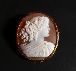 Broche Camée Sur Coquillage, Or Jaune