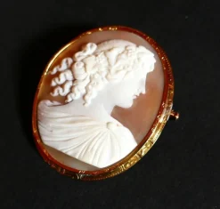 Broche Camée Sur Coquillage, Or Jaune