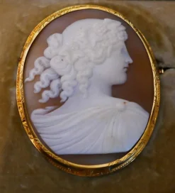 Broche Camée Sur Coquillage, Or Jaune