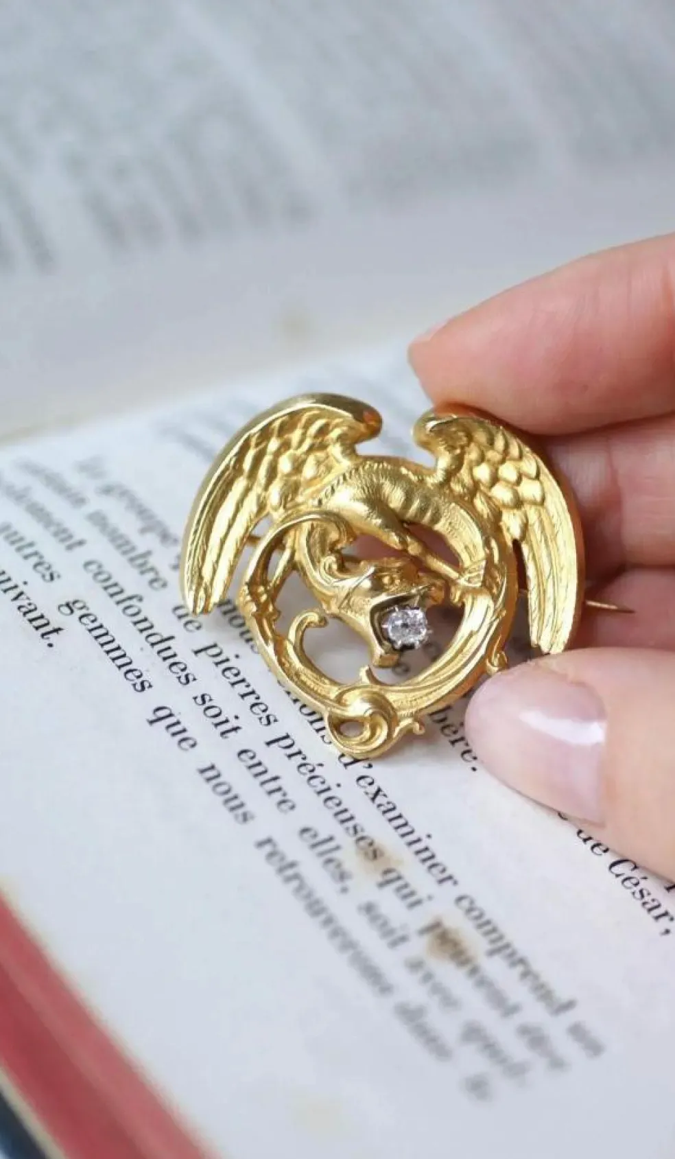 Broche Chimère Ancienne Or et Diamant
