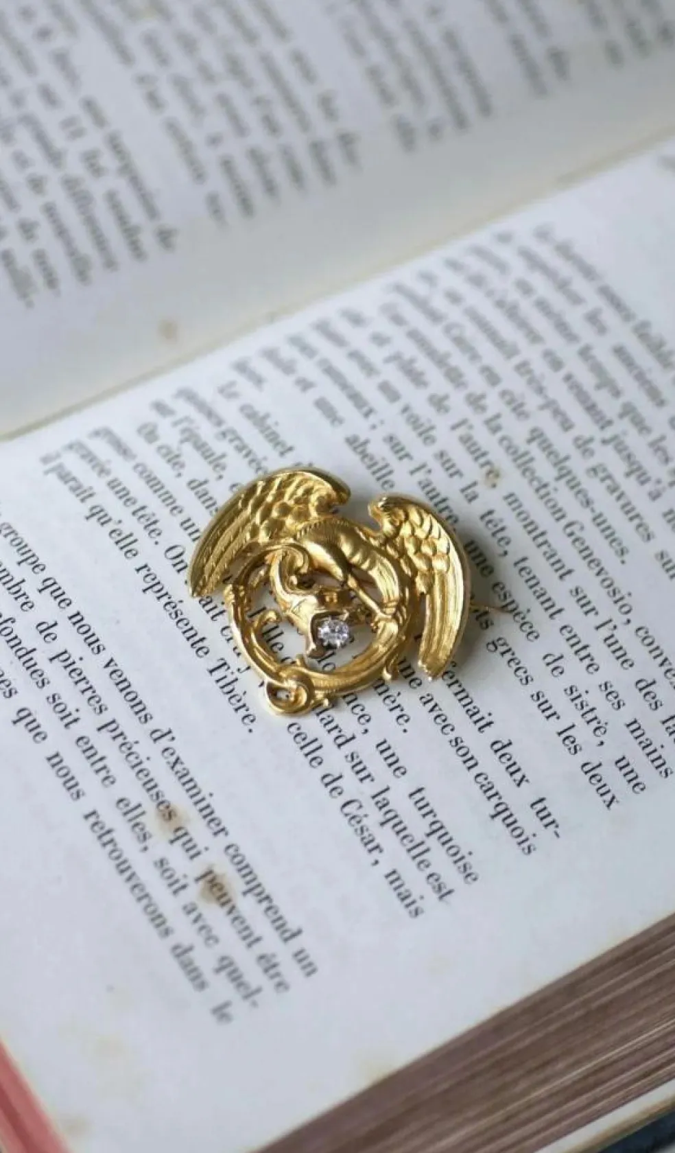 Broche Chimère Ancienne Or et Diamant